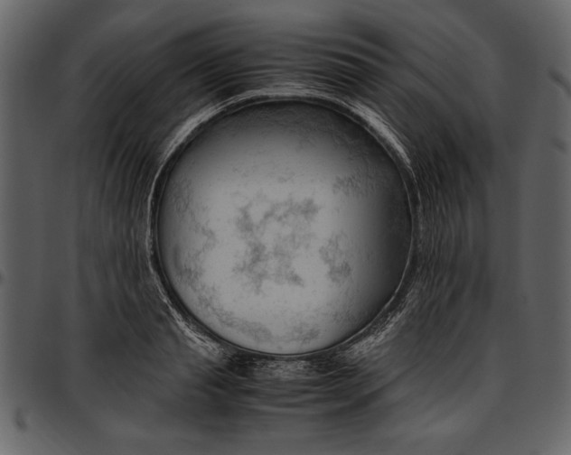 X0000096940845200802291031