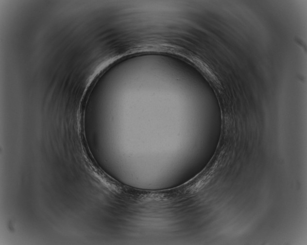 X0000096940846200802291031