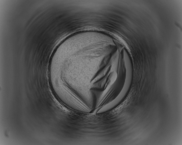 X0000096940847200802291031