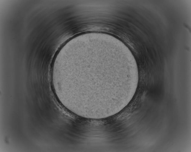 X0000096940848200802291031