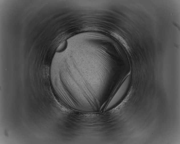 X0000096940849200802291031