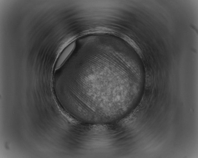 X0000096940850200802291031