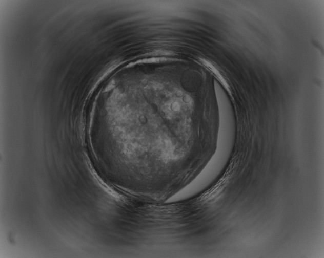 X0000096940851200802291031