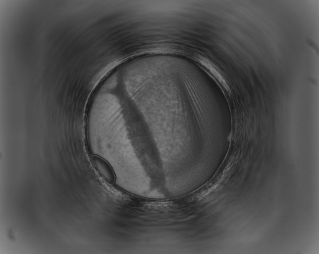 X0000096940853200802291031