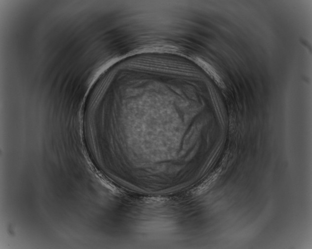 X0000096940854200802291031