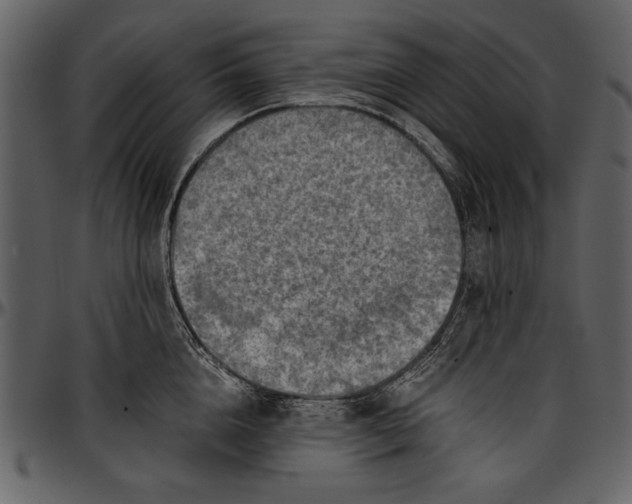 X0000096940856200802291031