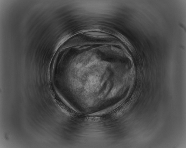 X0000096940858200802291031