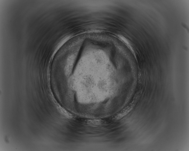 X0000096940859200802291031