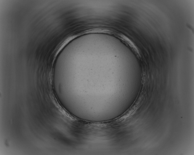 X0000096940860200802291031