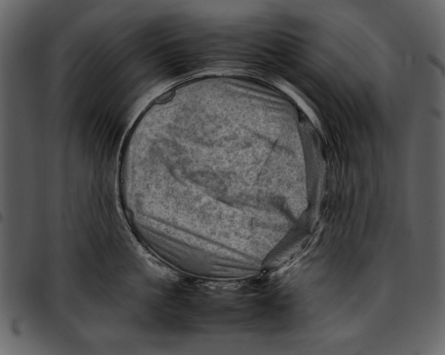 X0000096940861200802291031