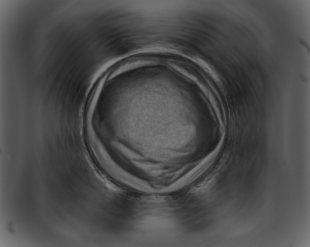 X0000096940862200802291031