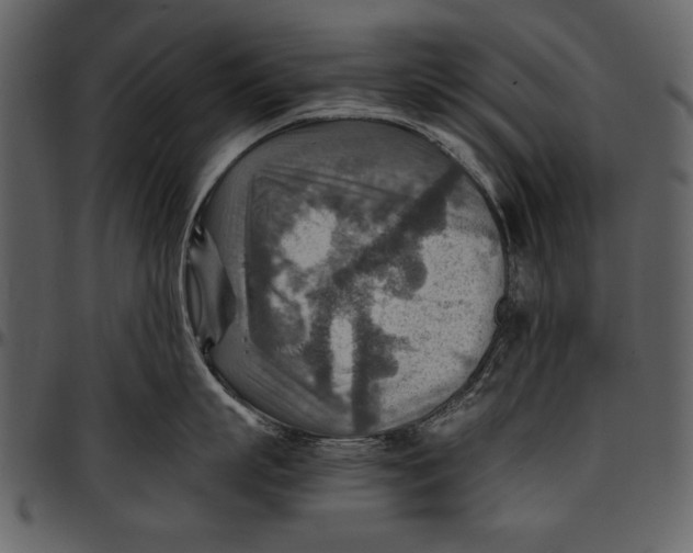 X0000096940863200802291031