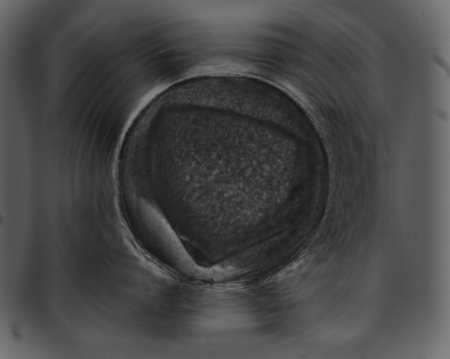 X0000096940864200802291031