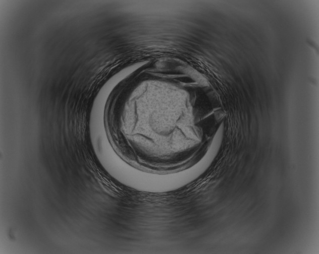 X0000096940868200802291030