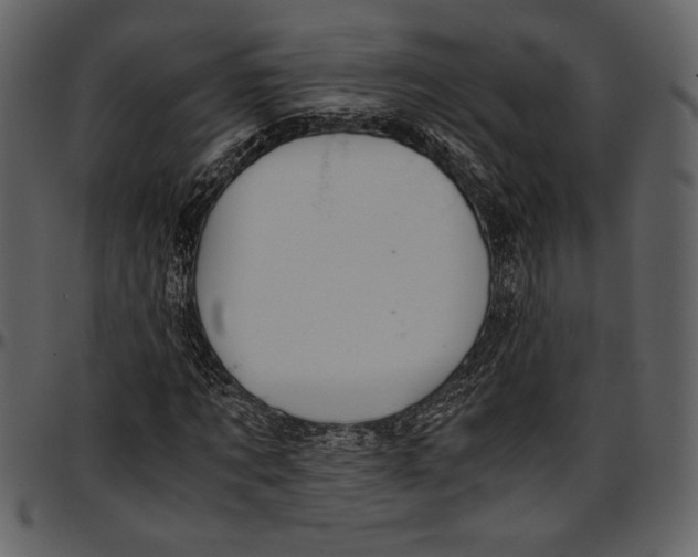 X0000096940869200802291030