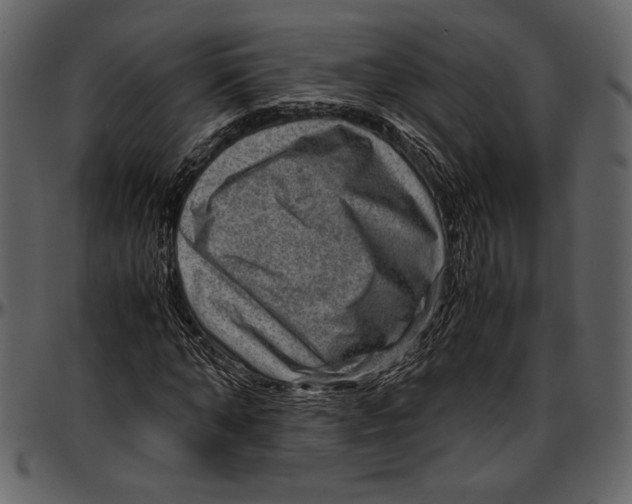 X0000096940870200802291030