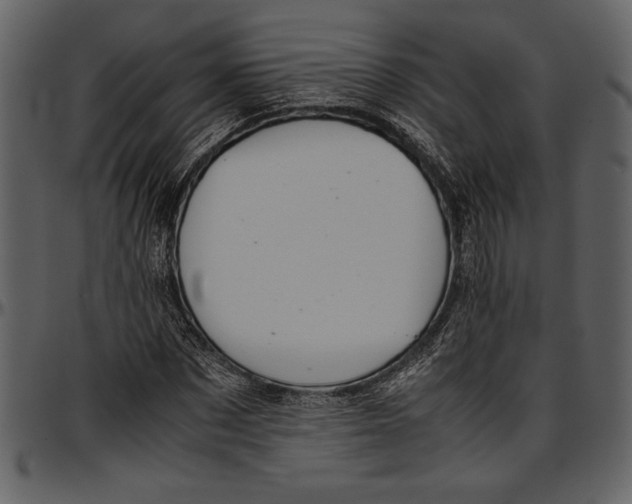 X0000096940873200802291030