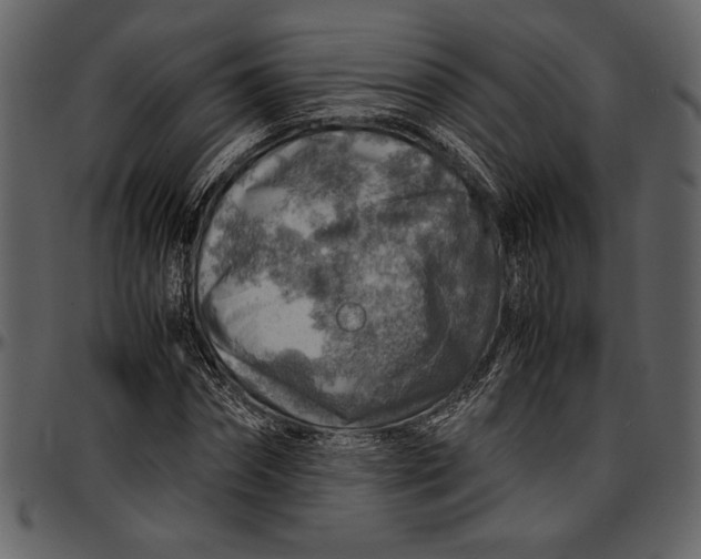 X0000096940874200802291030