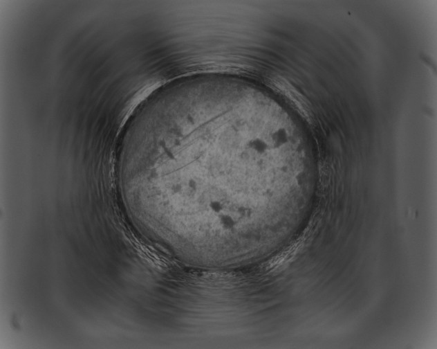 X0000096940875200802291030