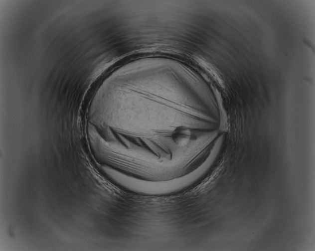 X0000096940876200802291030