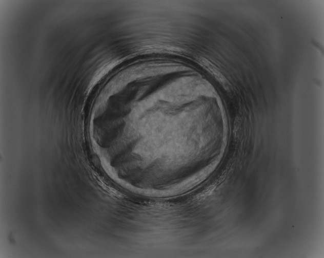 X0000096940877200802291030