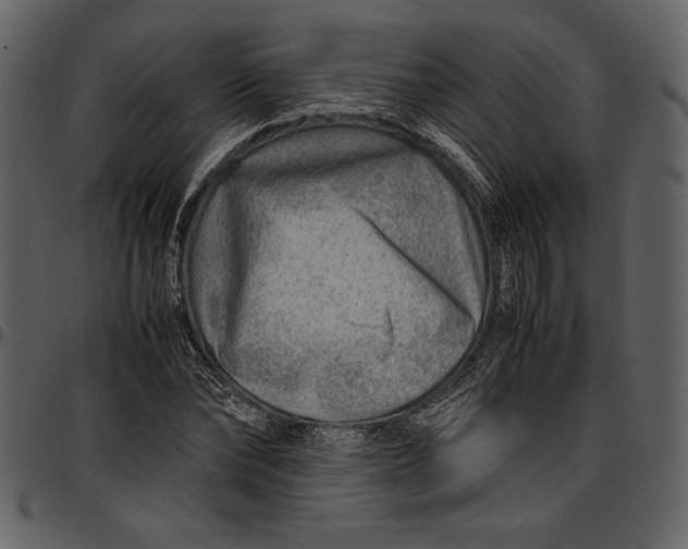 X0000096940878200802291030