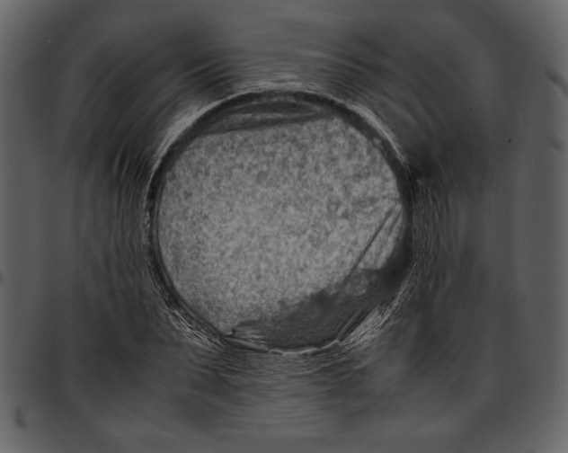 X0000096940879200802291030