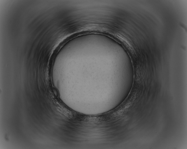 X0000096940880200802291030