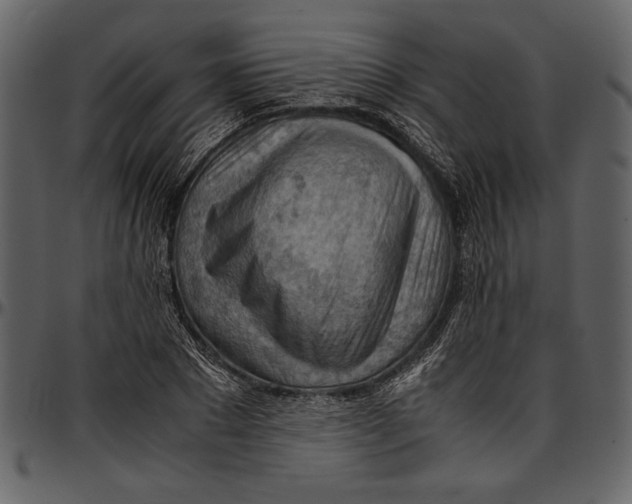 X0000096940881200802291030