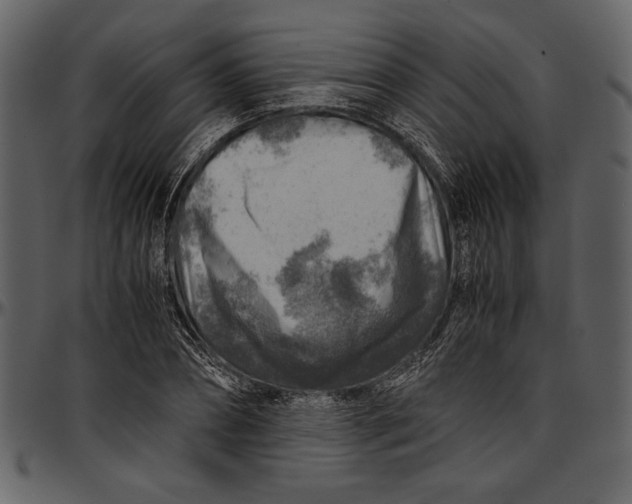 X0000096940882200802291030