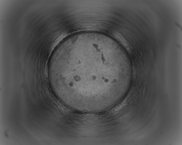 X0000096940883200802291030