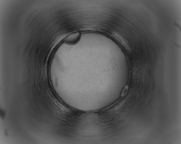 X0000096940884200802291030