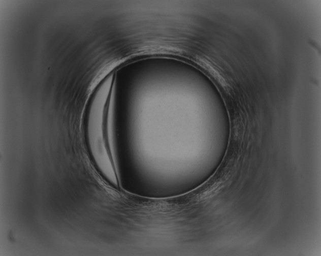 X0000096940885200802291030