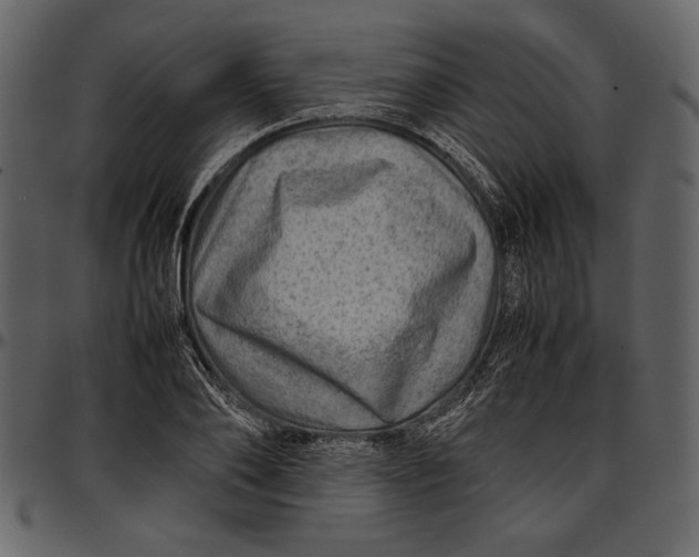 X0000096940886200802291030