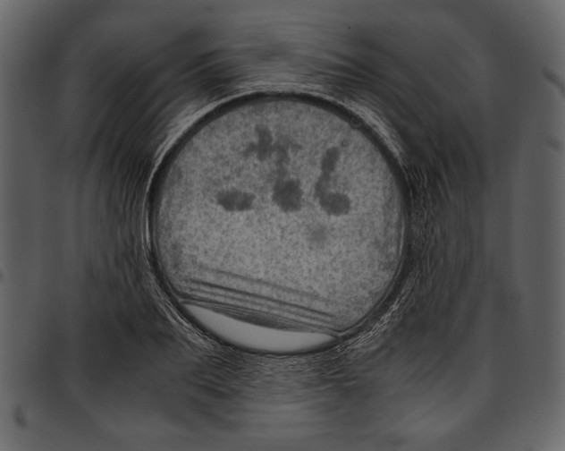 X0000096940887200802291030