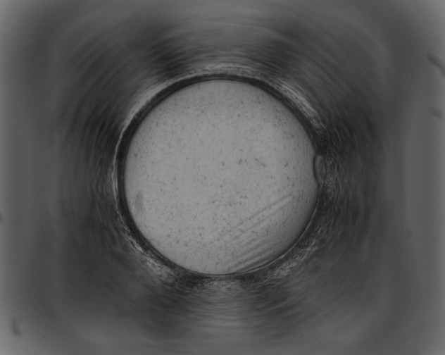 X0000096940888200802291030