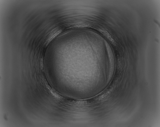 X0000096940889200802291030