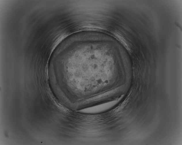 X0000096940891200802291030