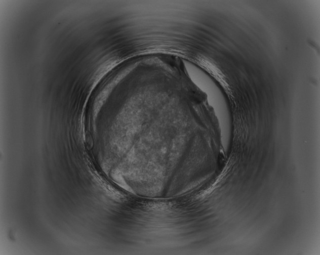 X0000096940892200802291030