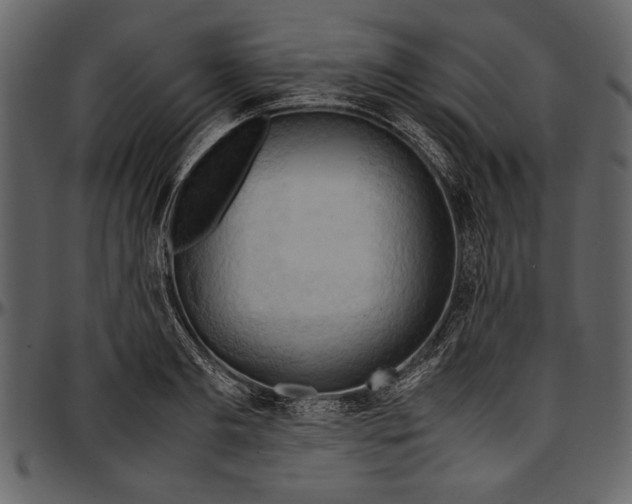 X0000096940893200802291030