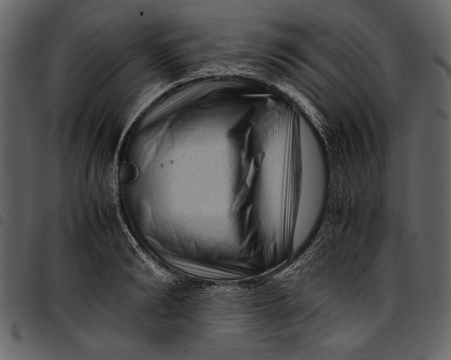 X0000096940894200802291030