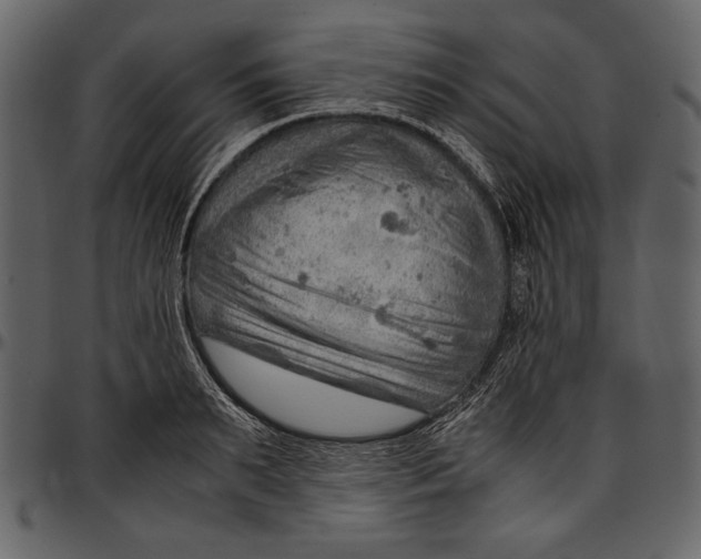 X0000096940895200802291030