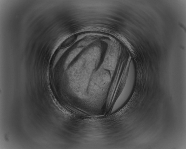 X0000096940896200802291030