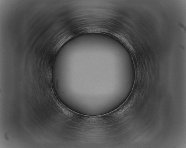 X0000096940897200802291030