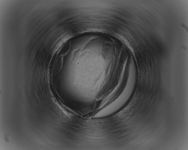 X0000096940898200802291030