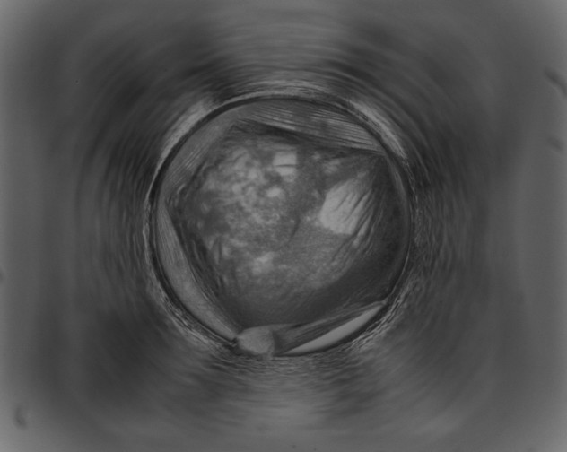 X0000096940899200802291030