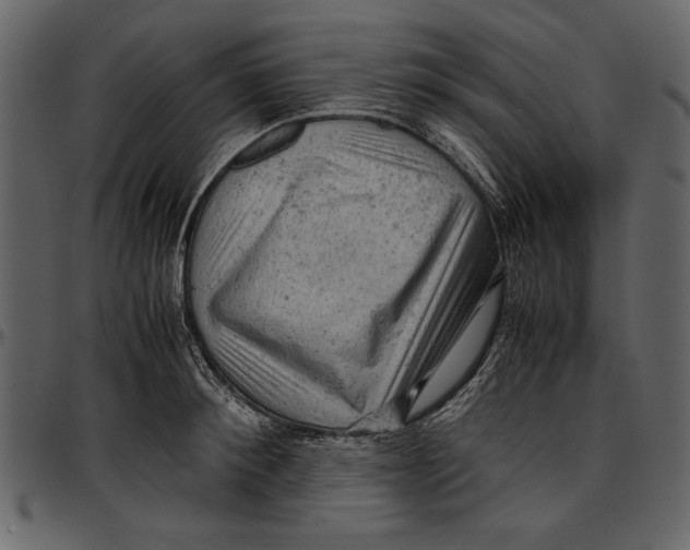 X0000096940900200802291030