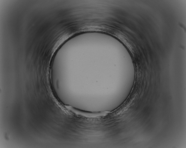 X0000096940901200802291030