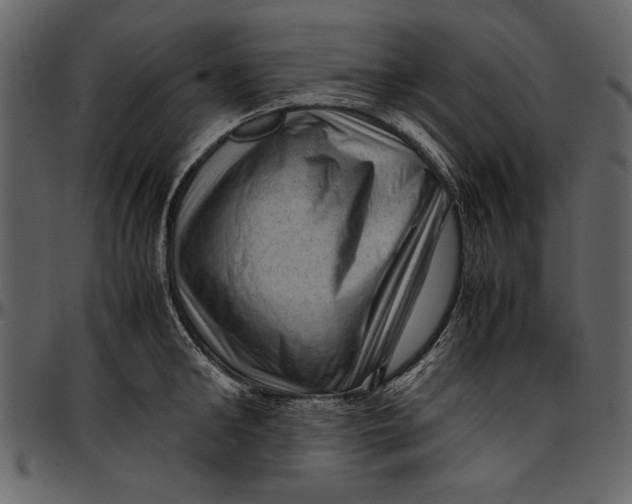 X0000096940902200802291030