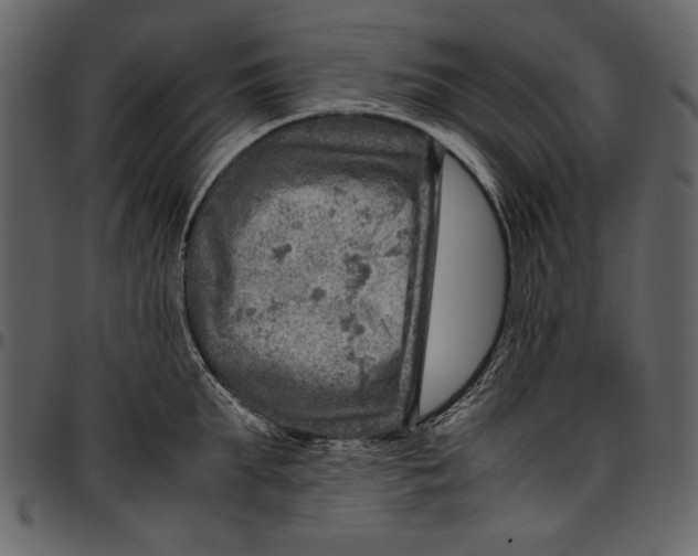 X0000096940903200802291030